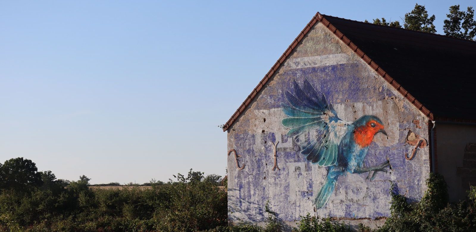 Een muurschildering van een vliegende blauw-oranje vogel op de zijgevel van een oude schuur in een veld