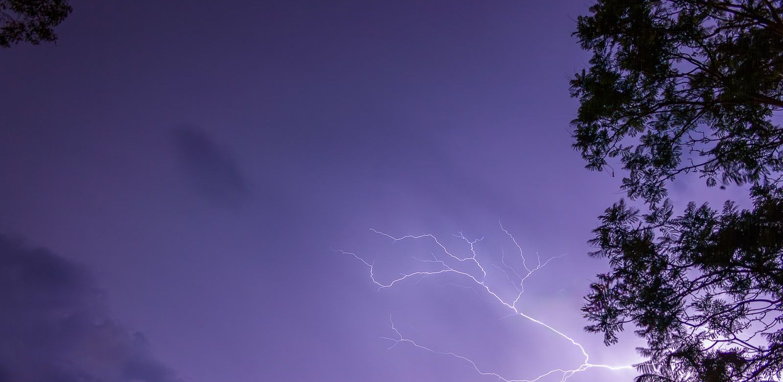 Een vertakte bliksemschicht licht op in een paarse nachthemel, met boomtakken als silhouet aan de rand