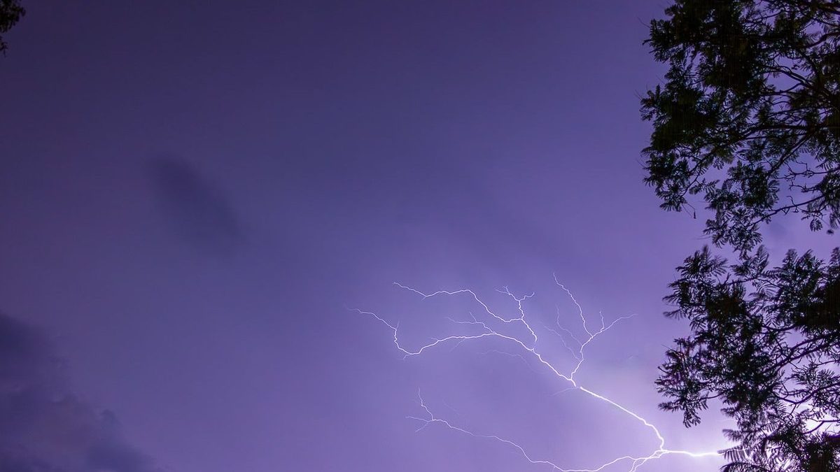 Een vertakte bliksemschicht licht op in een paarse nachthemel, met boomtakken als silhouet aan de rand
